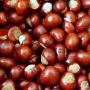 6 Manfaat Chestnut, Jenis Kacang-Kacangan yang Sering Diolah Menjadi Kue