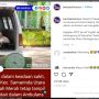 Salut! Diduga Habis Kecelakaan, Dimas Pratama Tetap Ikut Lomba MTQ di Samarinda Walau Dalam Perawatan di Ambulance