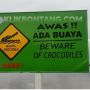 Gerak Cepat, BKSDA Kaltim Bakal Evakuasi Buaya yang Terkam Warga Bontang Kuala