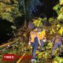 Tanah Longsor Sempat Melumpuhkan Akses Jalan Penghubung Bondowoso-Situbondo