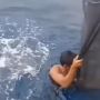 Viral Pria Santai Naik Hiu Tutul di Laut, Aksinya Jadi Sorotan Warganet: Mungkin Udah Bestie