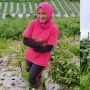9 Potret Novi Listiana Pedangdut yang Nekat Pilih Jadi Petani, Inspiratif!