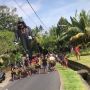 Viral Ogoh-ogoh Diarak di Jalanan, Kepalanya Malah Tersangkut di Atas Kabel dan Pisah dari Badan