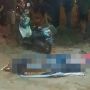Geger Mayat Tergeletak di Pinggir Jalan Batu Ampar, Diduga Korban Tabrak Lari