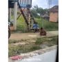 Mengharukan, Bocah Ini Bantu Temannya Berjalan, Warganet Langsung Terenyuh