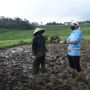 Sandiaga Uno Nyebur ke Sawah Beri Bantuan ke Petani di Majalengka
