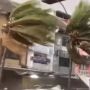 Viral Video Angin Kencang Kembali Terjang Bekasi, Warga Dibuat Was-was: Ya Allah, Innalillahi