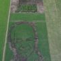 Wow! Ada Padi Pariwulung dan Gambar Ganjar Pranowo di Tengah Sawah
