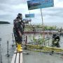 Bupati Asahan Bersama Forkopimda Tanam 10.000 Pohon Mangrove