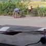 Kendarai Sepeda Kayuh, Seorang Lansia Tambal Jalan Berlubang Pakai Batu dari Sungai, Banjir Doa dan Pujian
