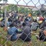 Satu Mahasiswa Papua Ditetapkan Jadi Tersangka Kasus Penganiayaan Kasat Intel Polres Metro Jakpus