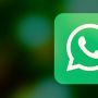 Agar Bertukar Pesan Tetap Lancar, Berikut Cara Mudah Update WhatsApp ke Versi Terbaru