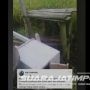 Video Viral Kotak Amal Masjid Hasil Curian Tergeletak di Sawah, Polisi Jember Buru Pelaku