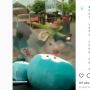 Viral Video Perkelahian Bak Laga UFC Antara Perempuan Berjilbab dan Seorang Pria di Jember
