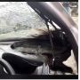 Dashboard Mobil Meleleh hingga Tak Berbentuk Bikin Ngilu, Korek Api Jadi Pemicunya