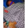 Gemas! Seorang Bocah Tidur Nyenyak Bersama Satu Keluarga Hewan Peliharaannya
