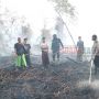 Lahan di Sekitar Pondok Pesantren Bahrul Ulum Terbakar, Santri Berjibaku Padamkan Api