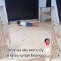 Viral Bocah Numpang Nonton TV dari Bawah Pintu Tetangga, Reaksi Warganet Mengejutkan
