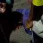 Maling di Pasuruan Kabur Loncat dari Motor Tabrak Tiang Listrik, Lantas Digebuki Warga