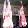 Jangan Khawatir! Stok Daging Sapi di Pasar Ratu Melati Ketapang Aman Saat Ramadhan