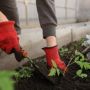 4 Manfaat Berkebun yang Perlu Kamu Tahu