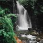 Pesona Curug Cipamingkis, dari Hutan Pinus Jadi Air Terjun Eksotis