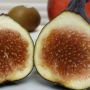 Yuk Intip 5 Manfaat Buah Tin Bagi Kesehatan