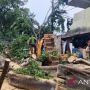 Pohon Beringin Tumbang Timpa Belasan Motor dan 3 Warung di Cempaka Putih