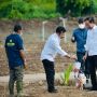 Kawasan Food Estate Belu NTT Ditanami Jagung, Presiden Jokowi: Ini Terbosan untuk Memajukan Pertanian