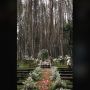 Semua Serba Mandiri, Viral Momen Pernikahan Pasangan Tanpa Wedding Organizer, Bikin Ikut Kagum