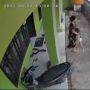 Viral Terekam CCTV, Pria Lakukan Pelecehan Seksual di Teras Rumah Bocah Ditangkap