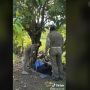 Raja Tega, Kepergok Satpol PP, Cowok ini Kabur Tinggalin Pacar yang Lagi Tidur di Bawah Pohon