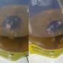 Duh Apes! Lagi Mahal, Minyak Goreng Malah Dibuat 'Renang' Tikus, Warganet Langsung Perdebatkan Hal ini