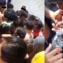 Viral Penemuan Makhluk Misterius di Dalam Botol, Bentuknya Malah Bikin Publik Geleng-geleng