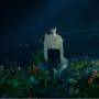 Mengenal Bunga 'Bird Of Paradise' yang Muncul di Teaser Suho EXO