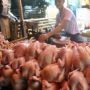 Kabar Buruk untuk Emak-emak, Harga telur dan Daging Ayam Naik