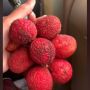Viral Perempuan Beli Leci Murah Langsung Kecewa Kupas Kulitnya, Warganet: Rambutnya Sampai Dibotakin