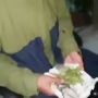 Kocak! Beli Ganja Tapi Dikasih Daun Tanaman Hias, Tukang Ojek Lapor Polisi
