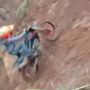 Pria Atraksi Motor Trail Naik Tebing, Berakhir Ketiban Motor Tak Kuat Menanjak, Penonton Menjerit