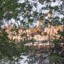 Duh, PT MMP Diduga Lakukan Pembabatan Hutan Mangrove untuk Perluas Proyek Smelter Nikel