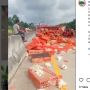 Truk Pengangkut Ayam Potong Terguling di Jalan Tol Trans Sumatera, Ayam Berhamburan di Jalan Tol