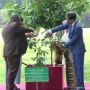 Sambut PM Papua Nugini, Jokowi Ajak James Marape Tanam Pohon Cendana di Istana Bogor