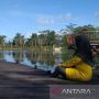 Kampoeng Reklamasi, Bekas Tambang Timah yang Menjelma Menjadi Ekowisata