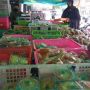 Minyak Goreng Mahal, Pedagang Perkecil Ukuran Kue Takjil