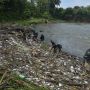 Sungai Citanduy dan Ciwulan Tasikmalaya Tercemar Mikroplastik