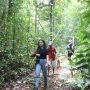 AMAN Nilai Penetapan Hutan Adat Terhambat karena Birokrasi dan Administrasi
