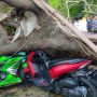 7 Motor Tertimpa Pohon Tumbang di Pulogadung, Satu Orang Patah Tulang
