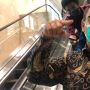 PPATK Duga Dalang Investasi Bodong Binary Option Ada di Luar Negeri, Beberapa Juga Ada di Indonesia