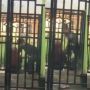Ngeri! Seorang Pria Ngamuk Banting HP dan Sepeda Motor di Depan Mata Kekasihnya, Publik Was-was