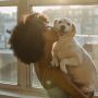 5 Tips Melatih Anak Anjing Tinggal di Apartemen